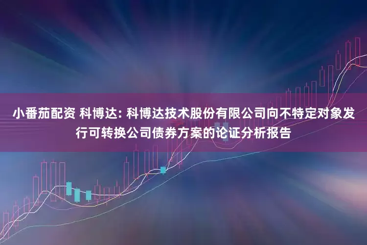 小番茄配资 科博达: 科博达技术股份有限公司向不特定对象发行可转换公司债券方案的论证分析报告