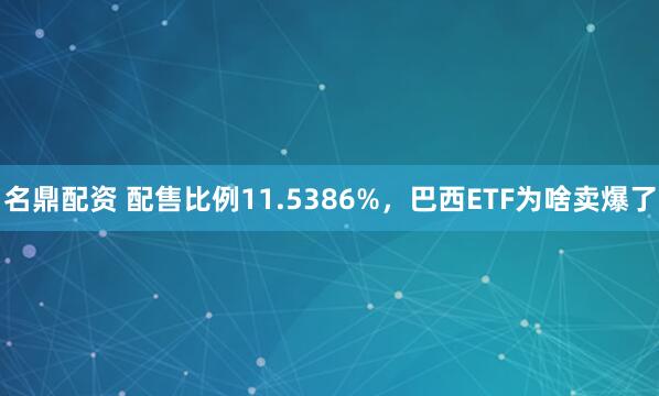 名鼎配资 配售比例11.5386%，巴西ETF为啥卖爆了